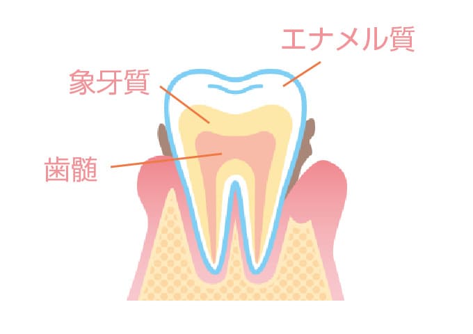 歯髄保存