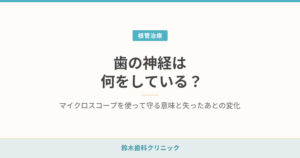 歯の神経は何をしている？マイクロスコープを使って守る意味と失ったあとの変化